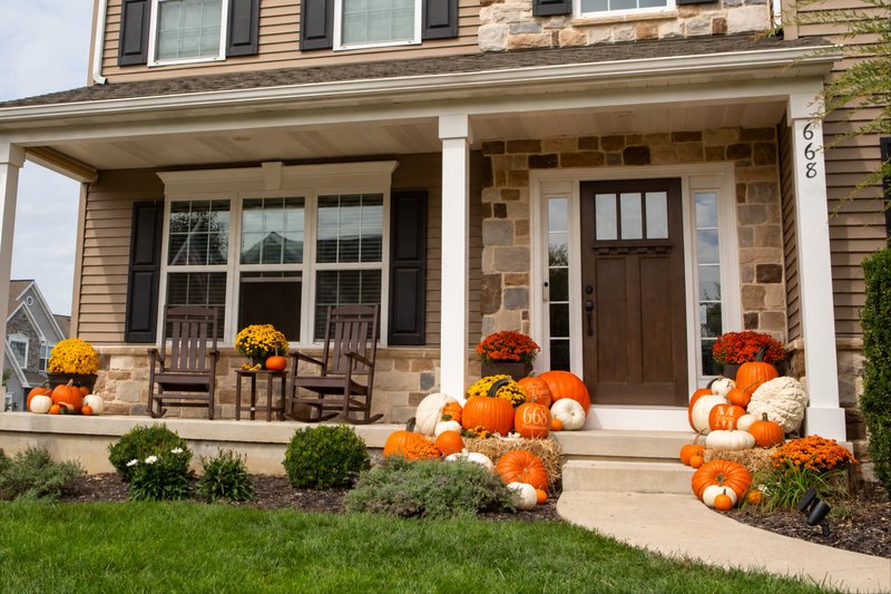 Bi-color: Orange and white pumpkins mixed together for a modern look.
